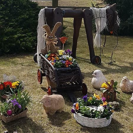 Urlaubsscheune Niedergorsdorf المظهر الخارجي الصورة