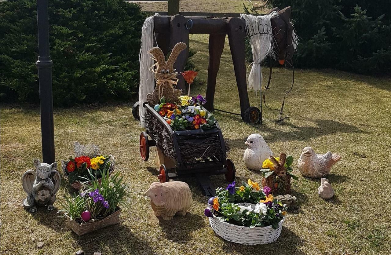Urlaubsscheune Niedergorsdorf المظهر الخارجي الصورة